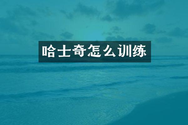 哈士奇怎么训练