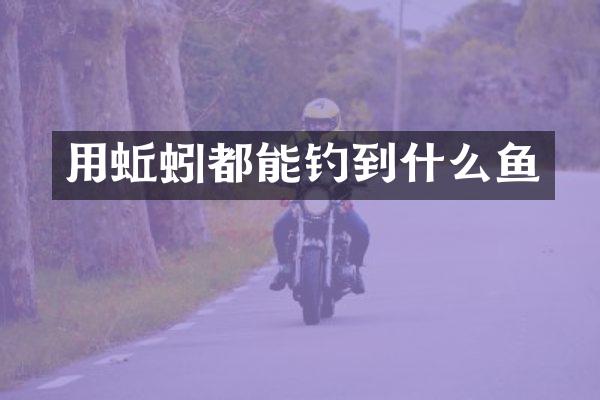 用蚯蚓都能钓到什么鱼