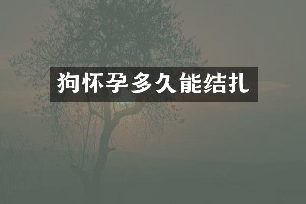 狗怀孕多久能结扎