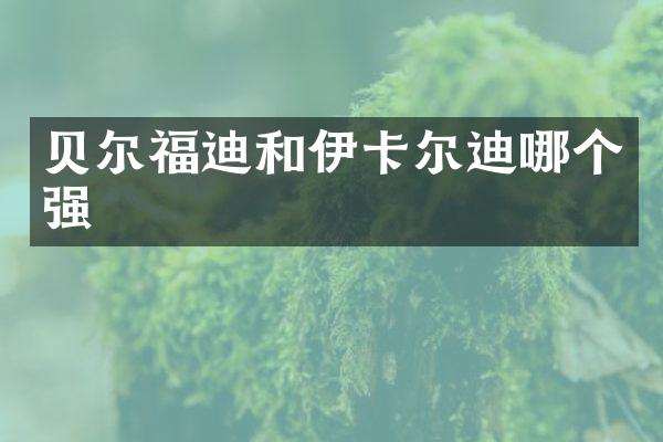 贝尔福迪和伊卡尔迪哪个强