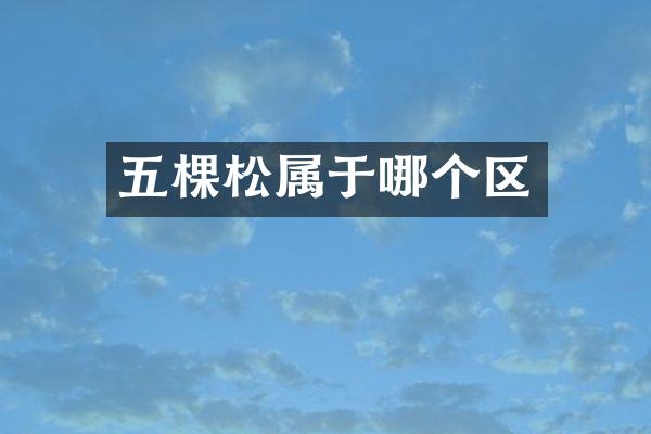 五棵松属于哪个区