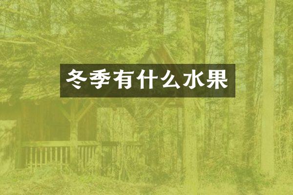冬季有什么水果