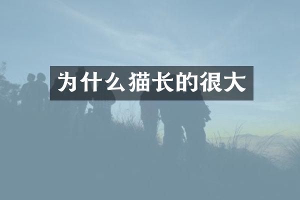 为什么猫长的很大