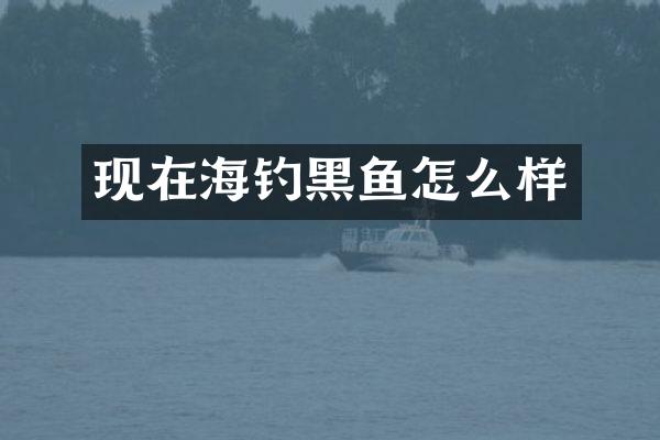 现在海钓黑鱼怎么样