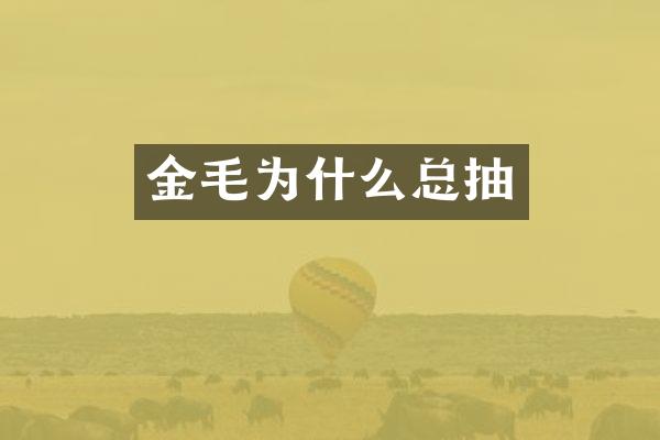 金毛为什么总抽