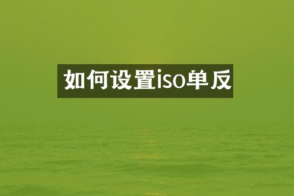 如何设置iso单反