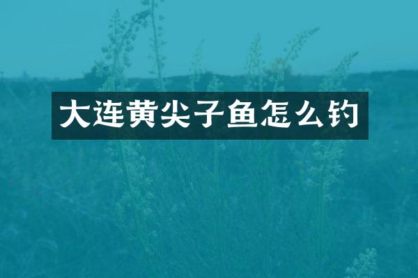 大连黄尖子鱼怎么钓