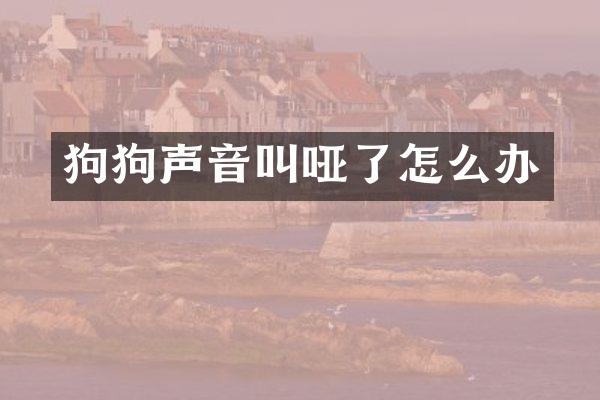 狗狗声音叫哑了怎么办