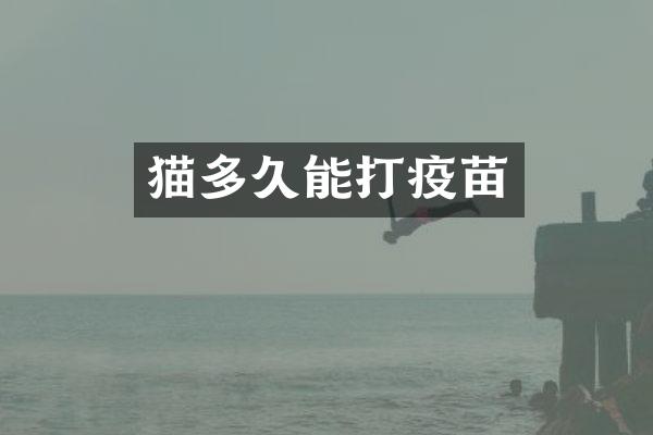 猫多久能打疫苗