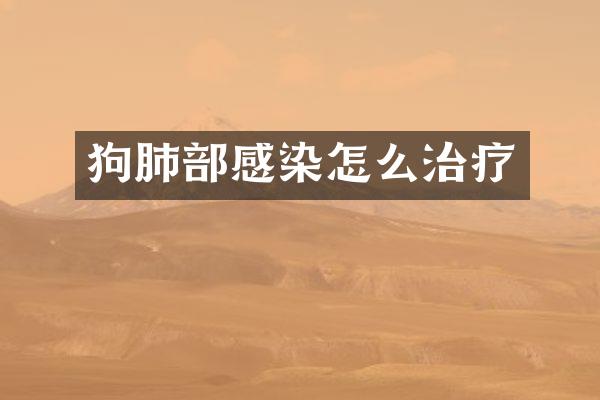 狗肺部感染怎么治疗