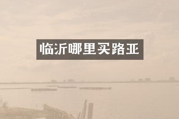 临沂哪里买路亚