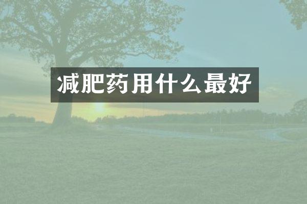 减肥药用什么最好