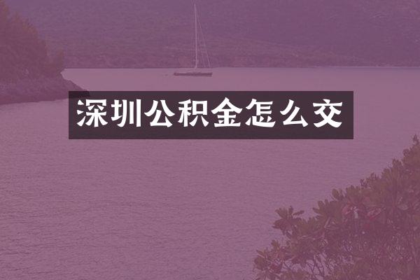 深圳公积金怎么交