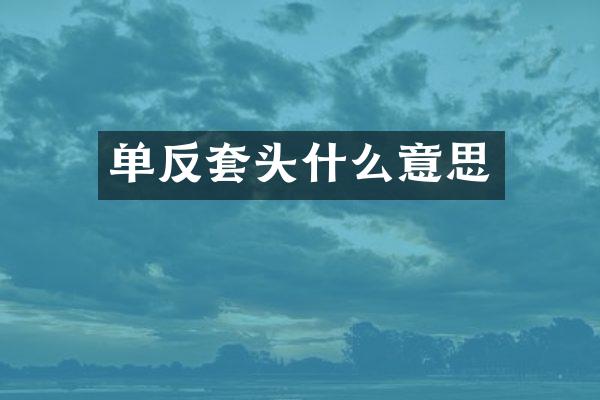 单反套头什么意思