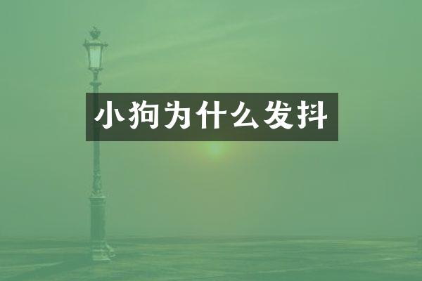 小狗为什么发抖