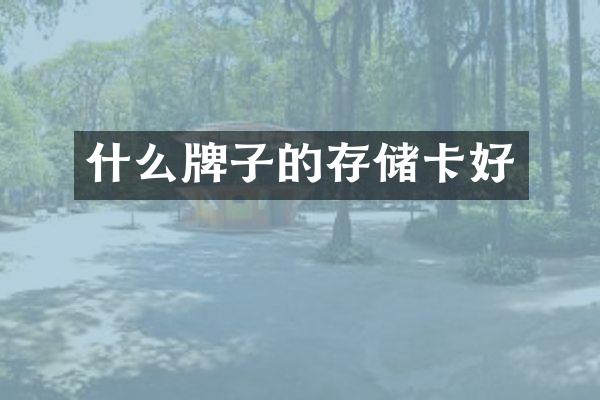 什么牌子的存储卡好