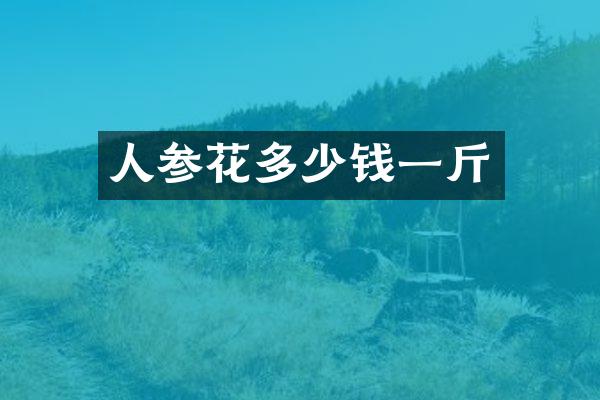 人参花多少钱一斤