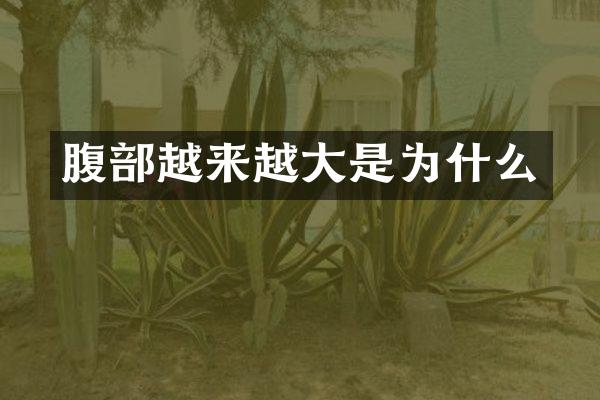 腹部越来越大是为什么