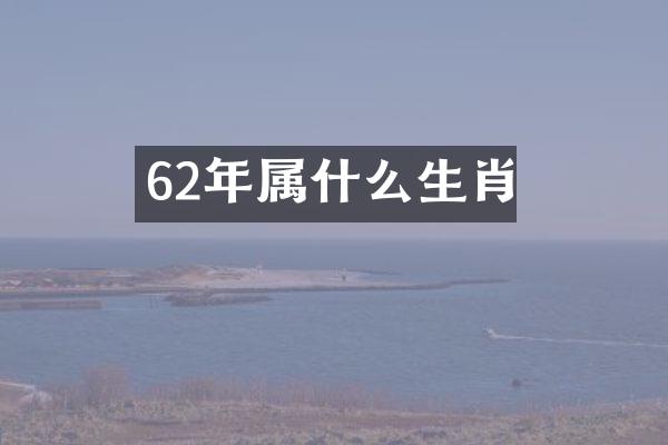 62年属什么生肖
