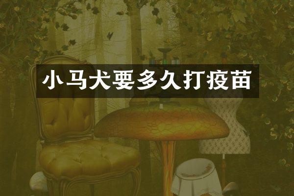 小马犬要多久打疫苗