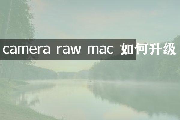 camera raw mac 如何升级