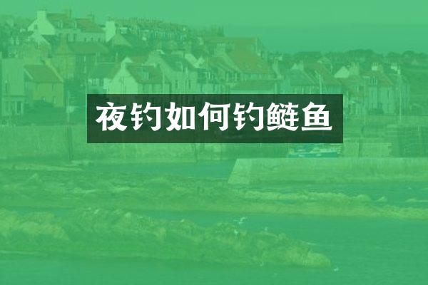 夜钓如何钓鲢鱼