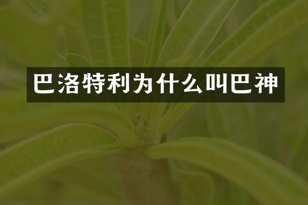 巴洛特利为什么叫巴神