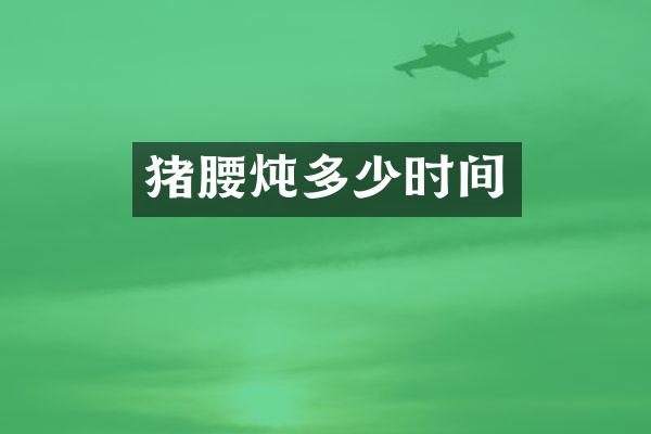 猪腰炖多少时间