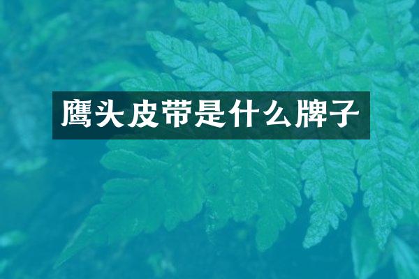 鹰头皮带是什么牌子