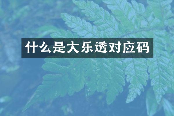 什么是大乐透对应码