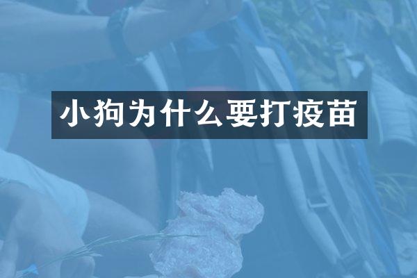 小狗为什么要打疫苗
