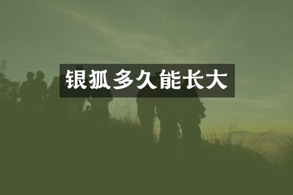 银狐多久能长大