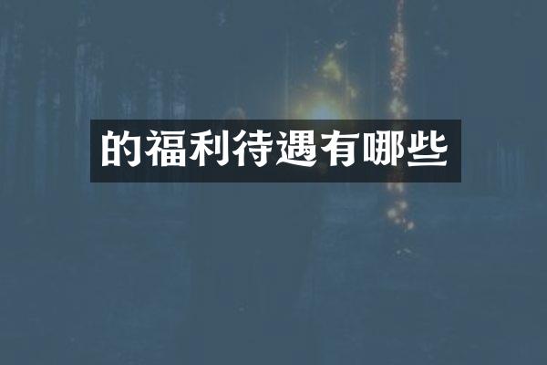 的福利待遇有哪些