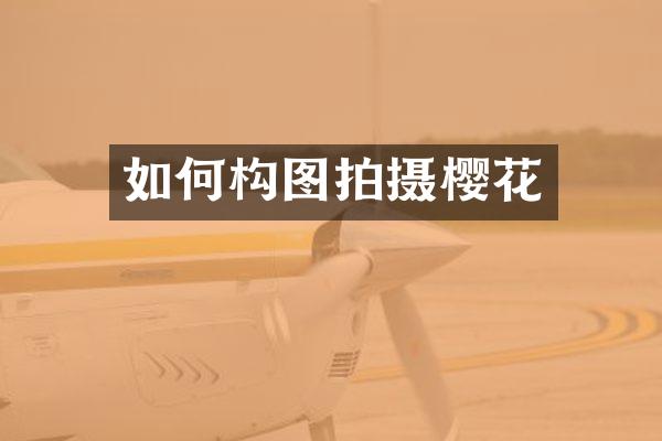 如何构图拍摄樱花