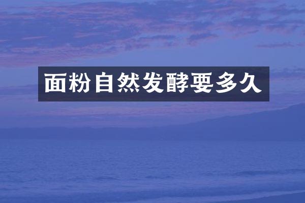 面粉自然发酵要多久
