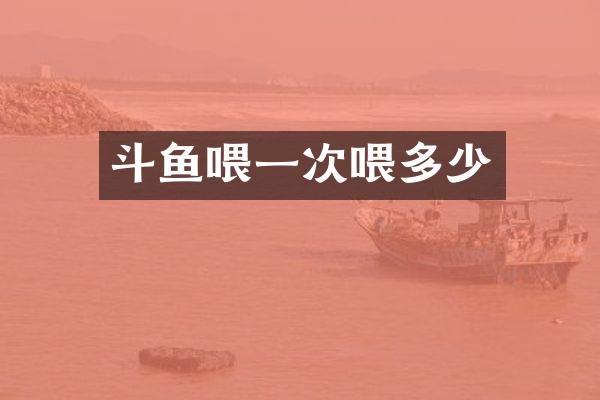 斗鱼喂一次喂多少