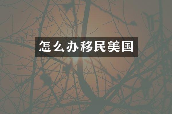 怎么办移民美国