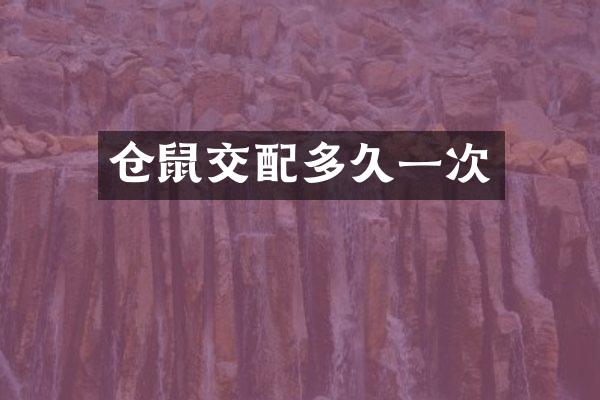 仓鼠交配多久一次