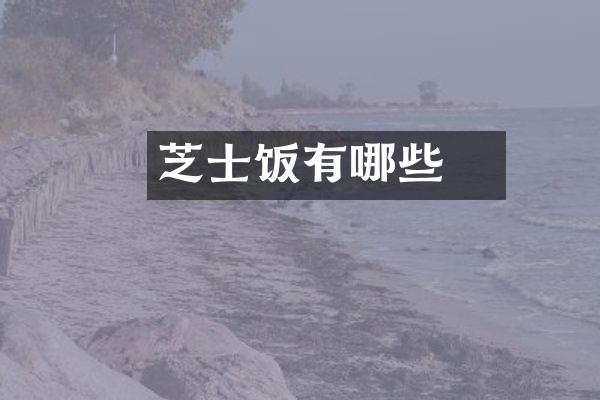 芝士焗饭有哪些