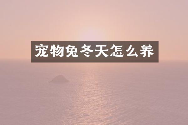 宠物兔冬天怎么养