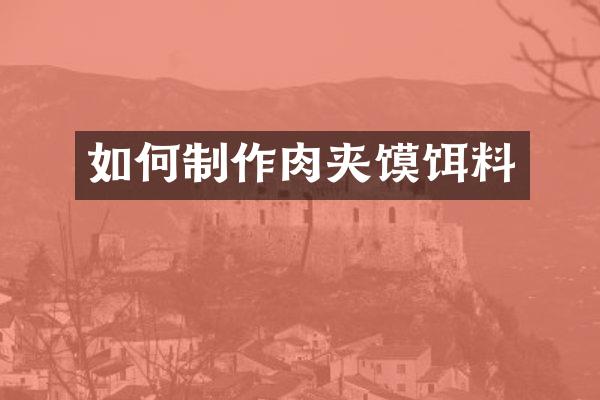 如何制作肉夹馍饵料