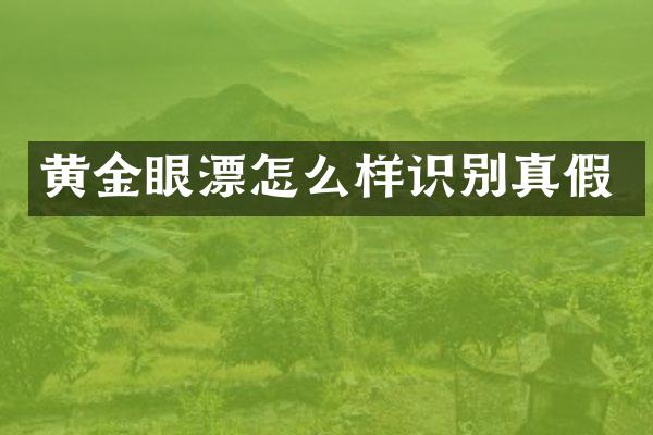黄金眼漂怎么样识别真假