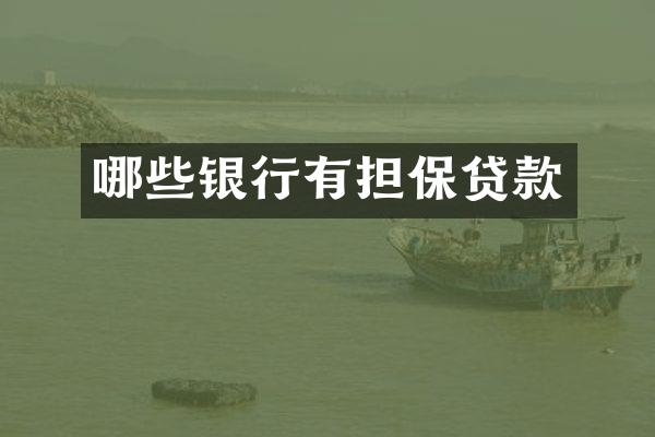 哪些银行有担保贷款
