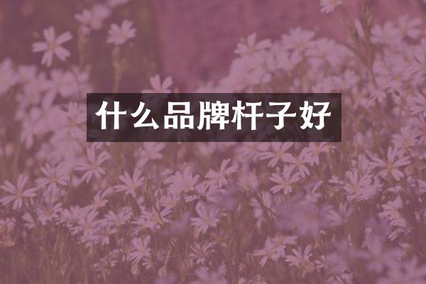 什么品牌杆子好