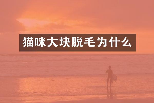 猫咪大块脱毛为什么