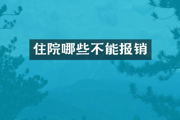住院哪些不能报销