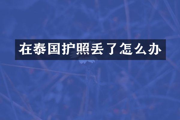 在泰国护照丢了怎么办