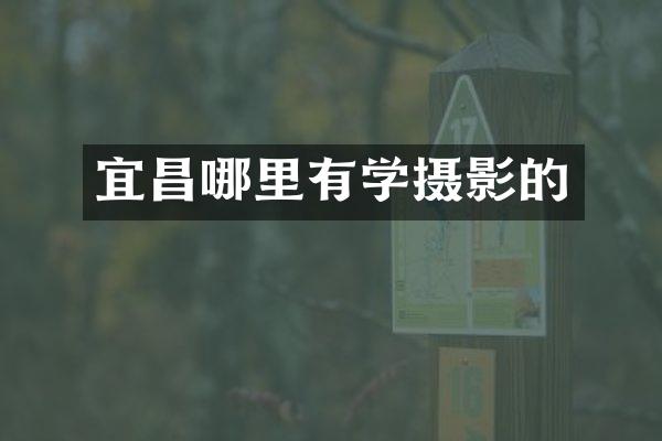 宜昌哪里有学摄影的
