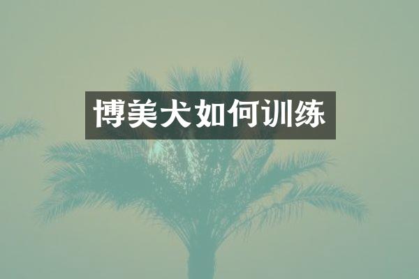博美犬如何训练