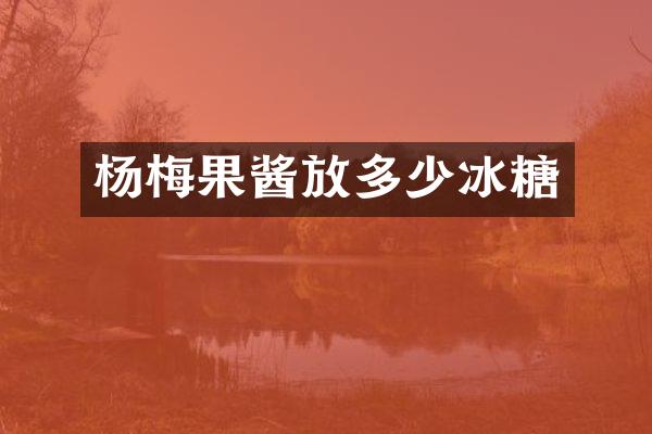 杨梅果酱放多少冰糖